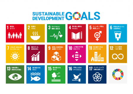 sustainable development goals SDGs